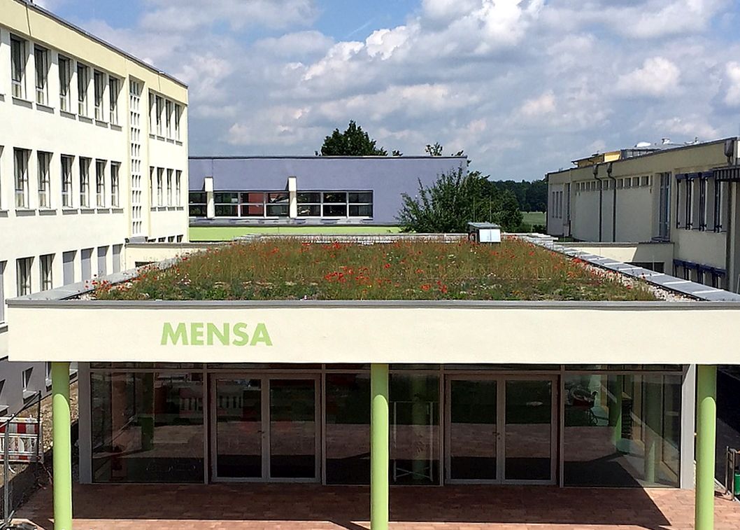 Mensa